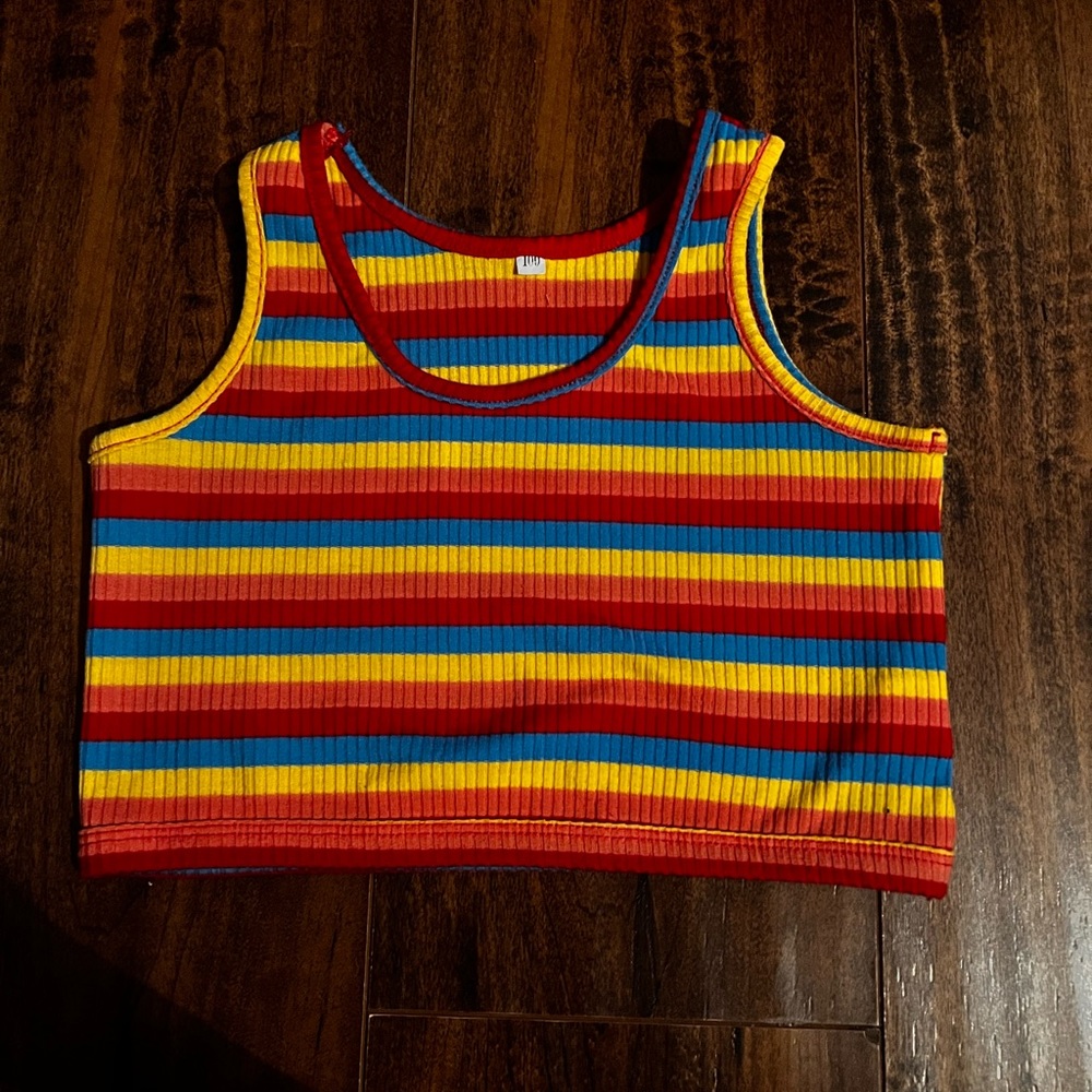 Rainbow Crop Top